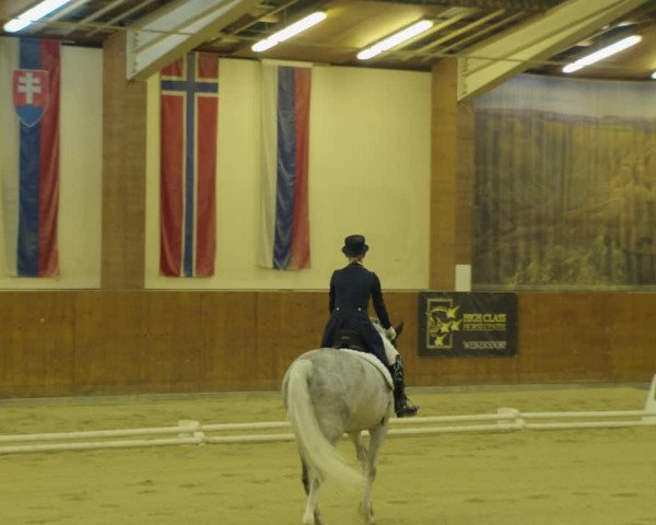 Dressurturnier Weikersdorf am Steinfelde 2022
