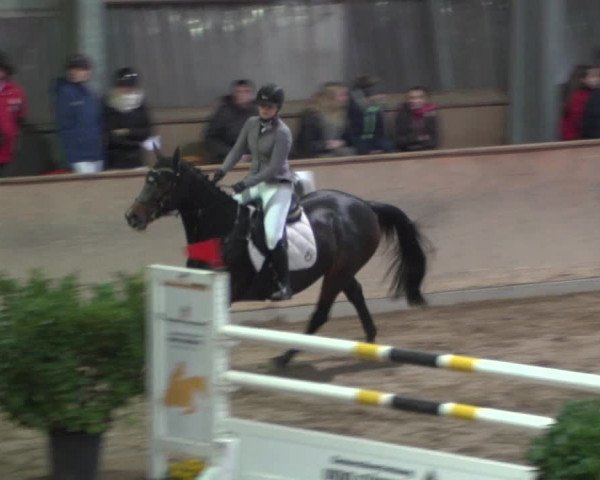 Reitturnier Bonn - Gut Ettenhausen 2017
