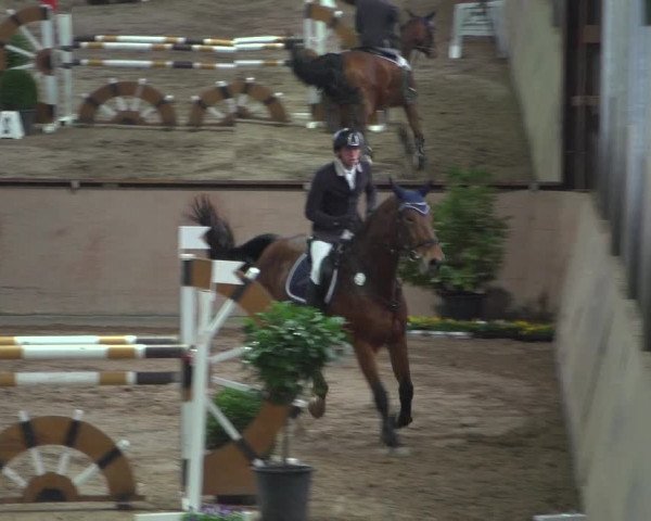 Reitturnier Bonn - Gut Ettenhausen 2017