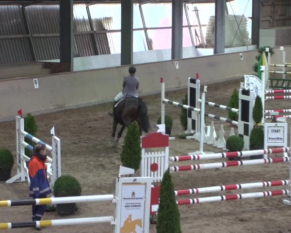 Reitturnier Bonn - Gut Ettenhausen 2017