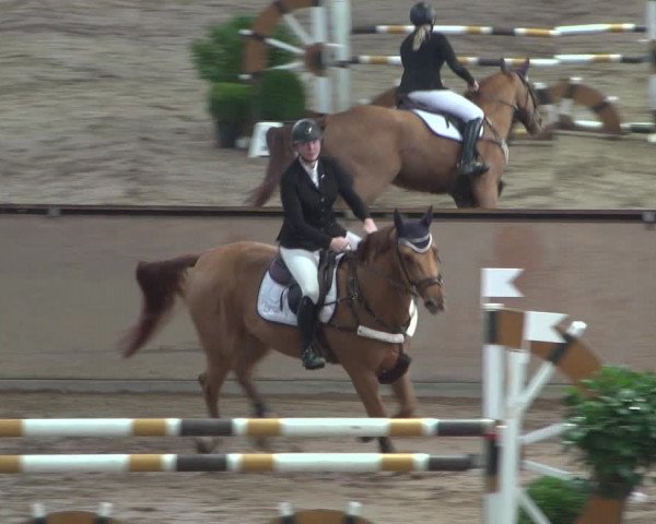 Reitturnier Bonn - Gut Ettenhausen 2017