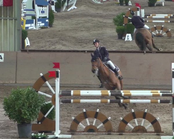 Reitturnier Bonn - Gut Ettenhausen 2017