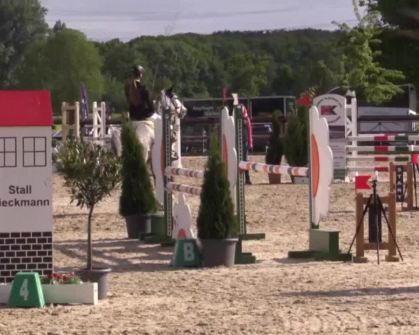 Großes Reit- und Springturnier Kirchhellen/Stall Dieckmann 2015