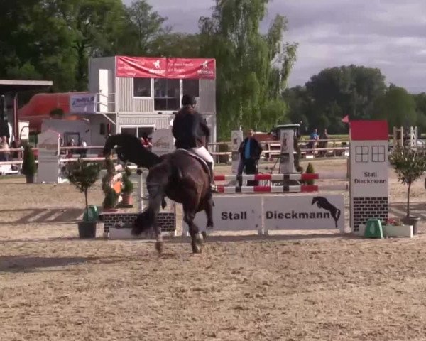 Großes Reit- und Springturnier Kirchhellen/Stall Dieckmann 2015