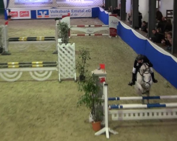 Spring-Pferde-Festival Lathen 2015