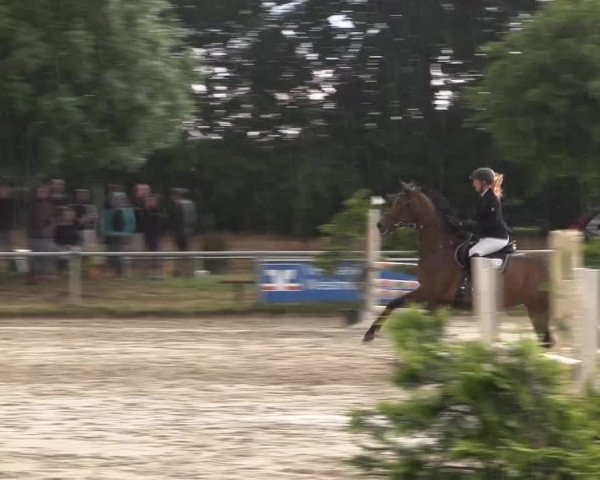 Coesfelder Reitertage 2015