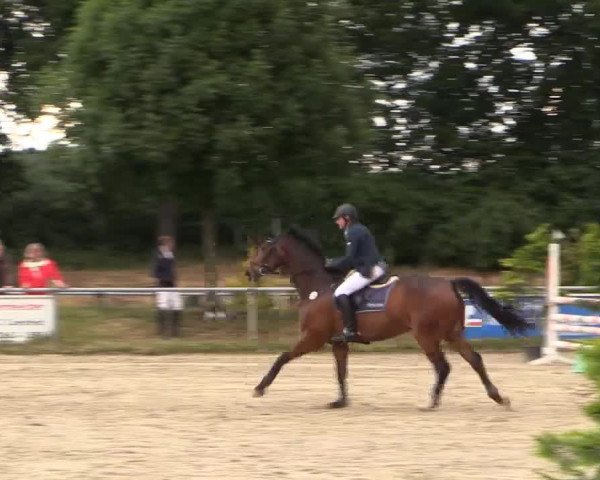 Coesfelder Reitertage 2015
