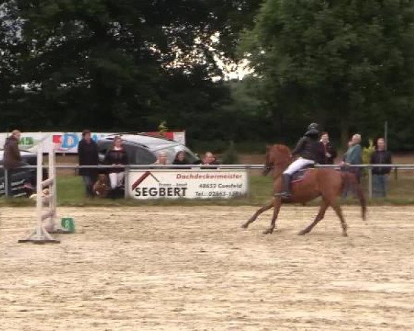 Coesfelder Reitertage 2015