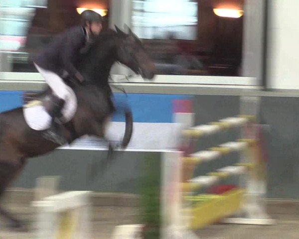 Reitturnier Salzkotten 2015