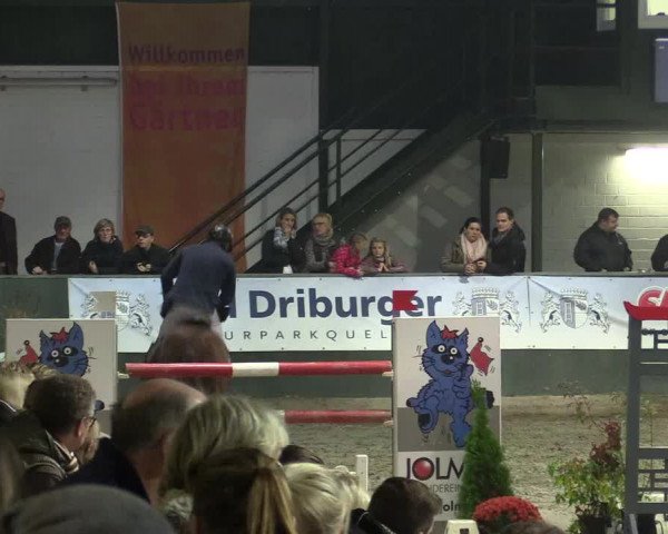 Reitturnier Salzkotten 2015