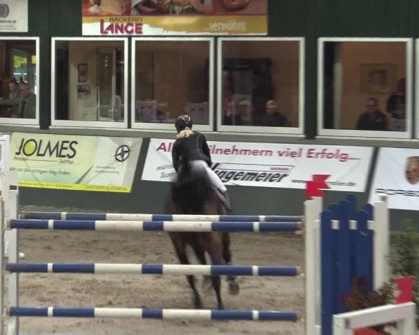 Reitturnier Salzkotten 2015