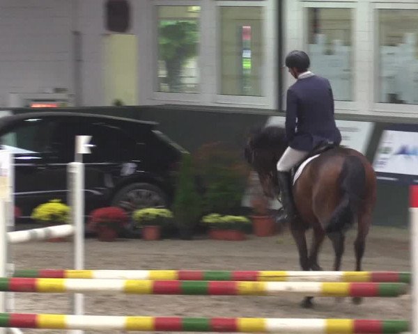 Reitturnier Salzkotten 2015