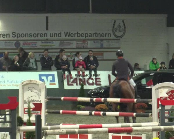 Reitturnier Salzkotten 2015