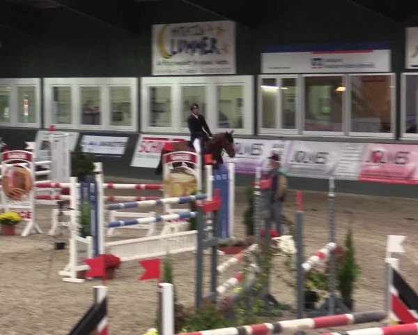 Reitturnier Salzkotten 2015