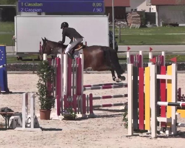 Frühjahrs-Reitturnier Ingolstadt-Hagau 2016