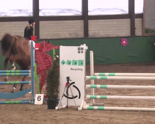 Reitturnier Heilbronn 2016
