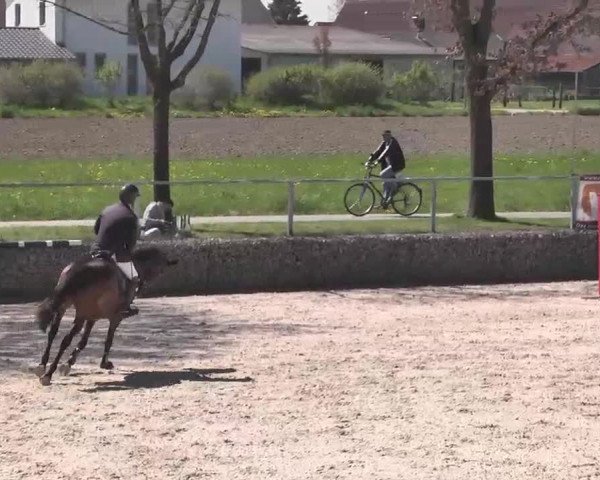 Frühjahrs-Reitturnier Ingolstadt-Hagau 2016