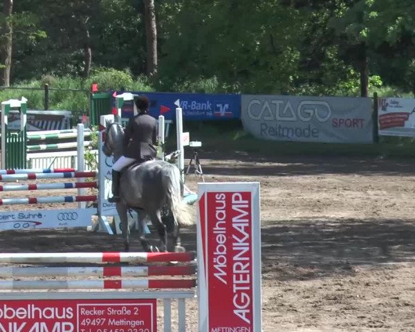 Reitturnier Mettingen 2016