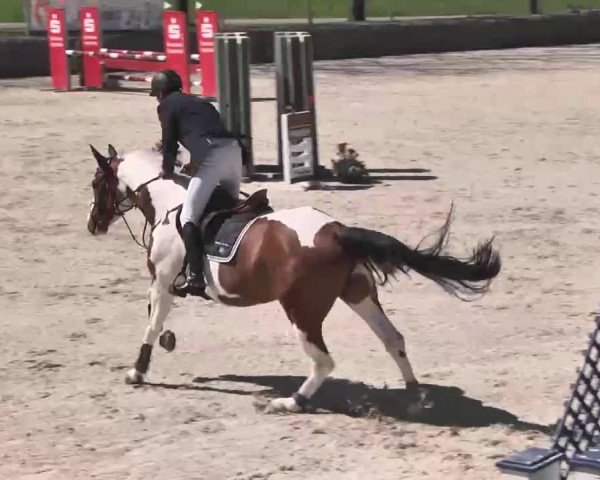 Frühjahrs-Reitturnier Ingolstadt-Hagau 2016