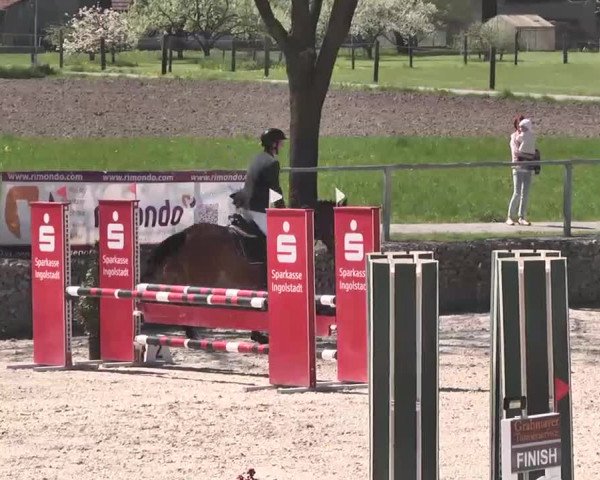 Frühjahrs-Reitturnier Ingolstadt-Hagau 2016