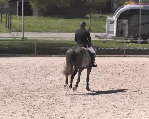 Frühjahrs-Reitturnier Ingolstadt-Hagau 2016