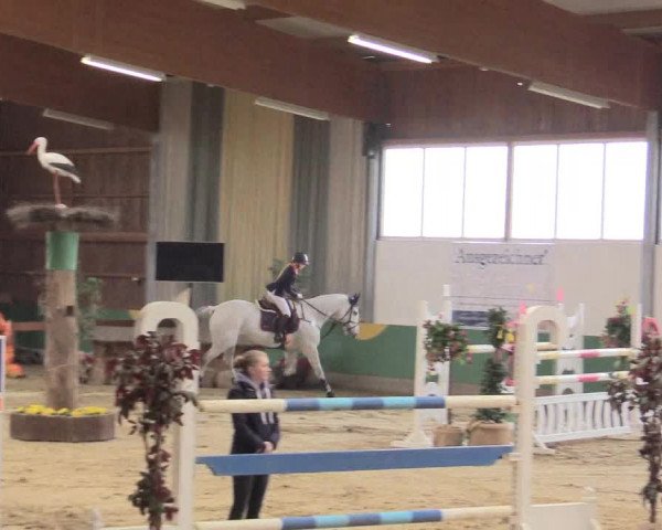 Reitturnier Warendorf-Freckenhorst 2016