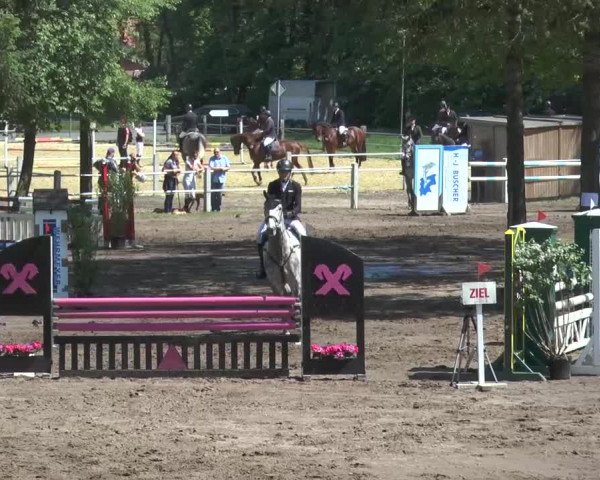 Reitturnier Mettingen 2016