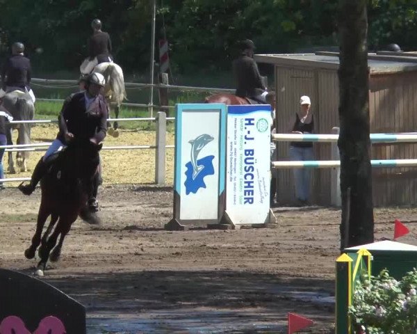 Reitturnier Mettingen 2016