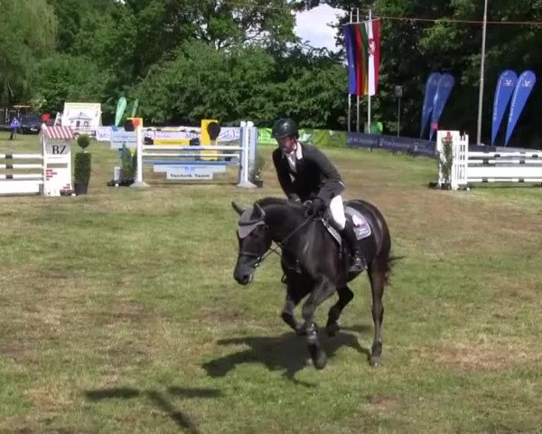 Reitturnier Borken 2016