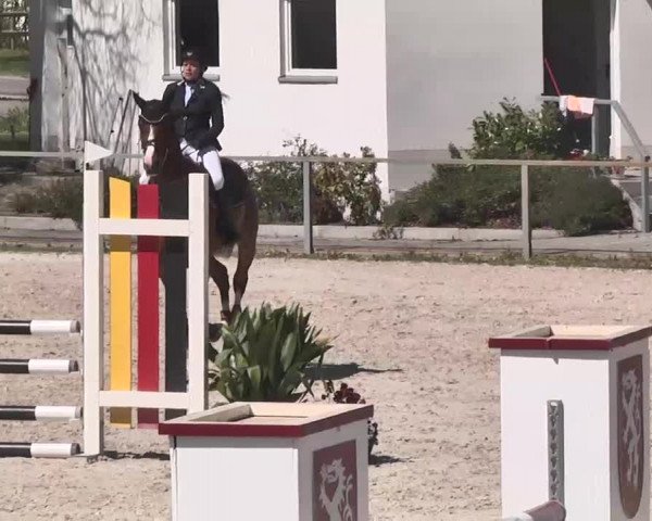 Frühjahrs-Reitturnier Ingolstadt-Hagau 2016