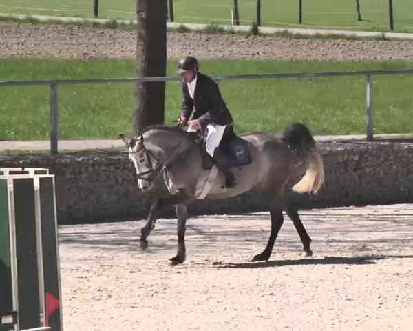 Frühjahrs-Reitturnier Ingolstadt-Hagau 2016