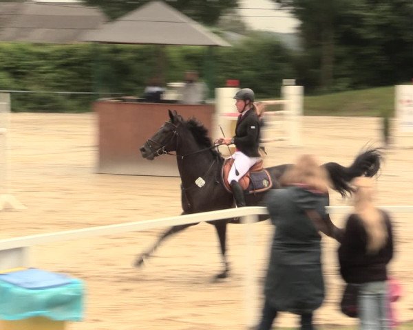 Reitturnier Fröndenberg 2016