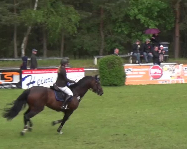 Reitturnier Cottbus-Sielow 2016