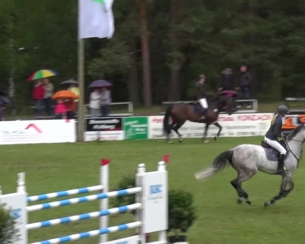 Reitturnier Cottbus-Sielow 2016