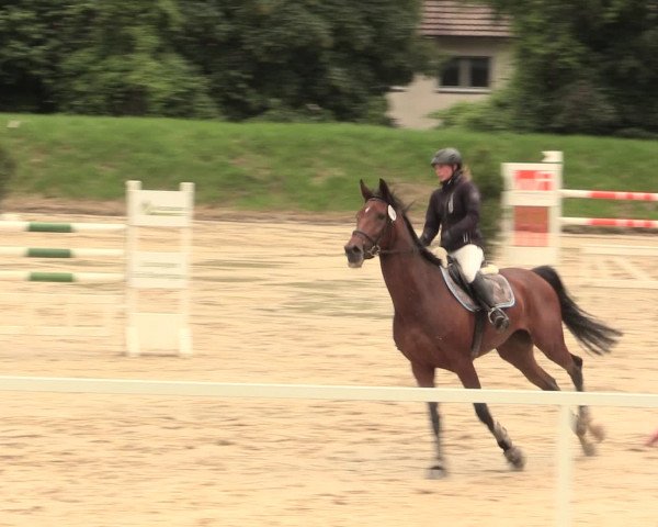 Reitturnier Fröndenberg 2016