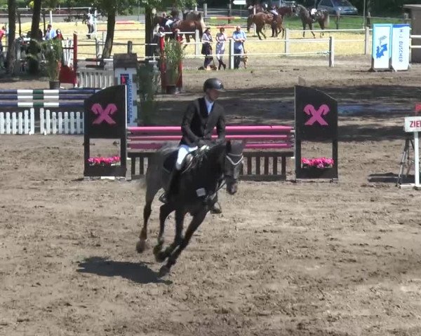 Reitturnier Mettingen 2016