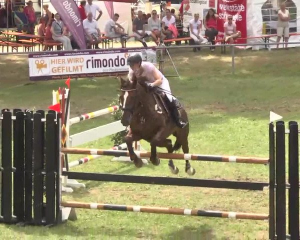 Reitturnier Herrenberg-Gültstein 2016