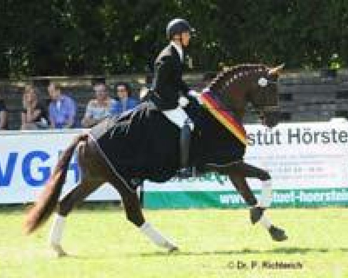 Dressurpferd All Inclusive (Trakehner, 2007, von Gribaldi)