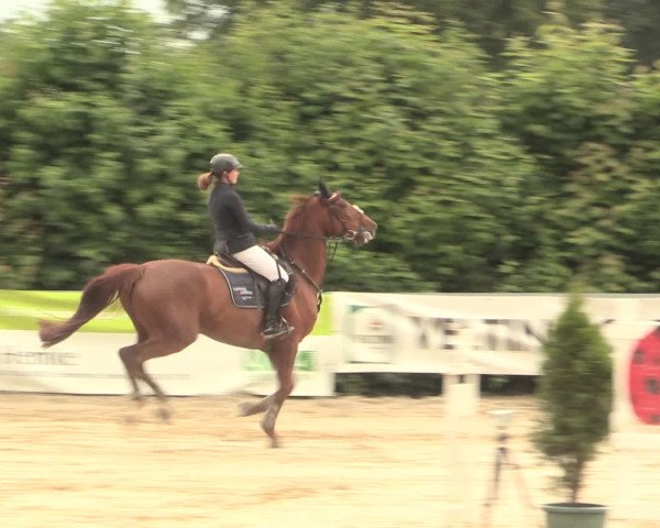 Reitturnier Fröndenberg 2016