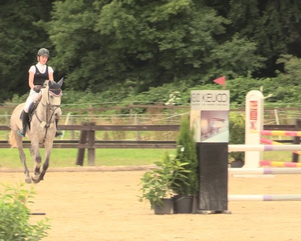 Reitturnier Hemer-Oese an der Edelburg 2016