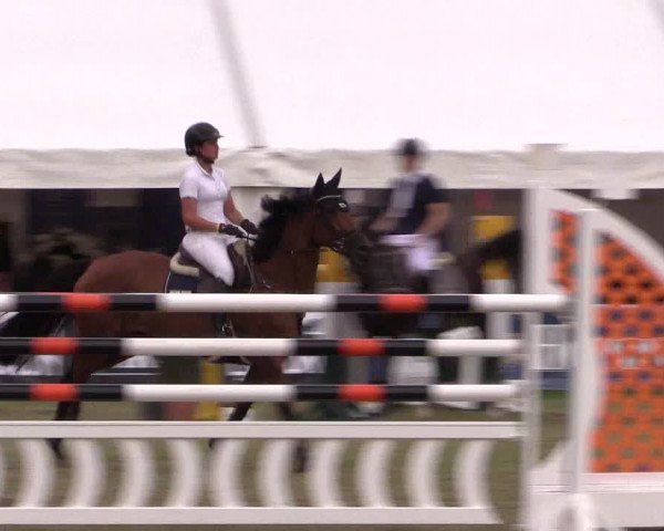 FEI Reitturnier Steinhagen (GER) 2016