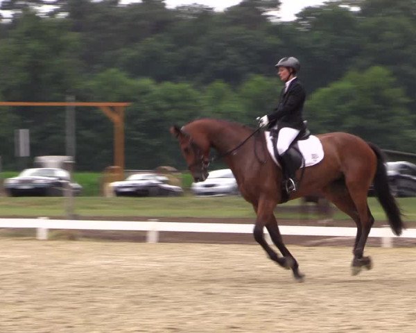 Reitturnier Coesfeld/Lette 2017