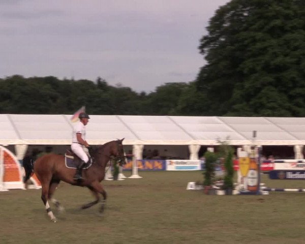 FEI Reitturnier Steinhagen (GER) 2016