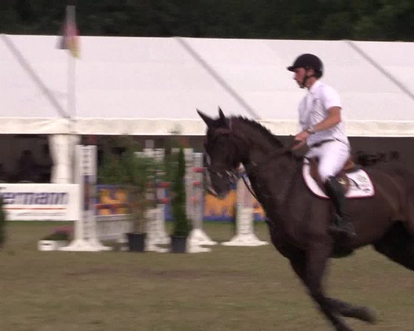 FEI Reitturnier Steinhagen (GER) 2016
