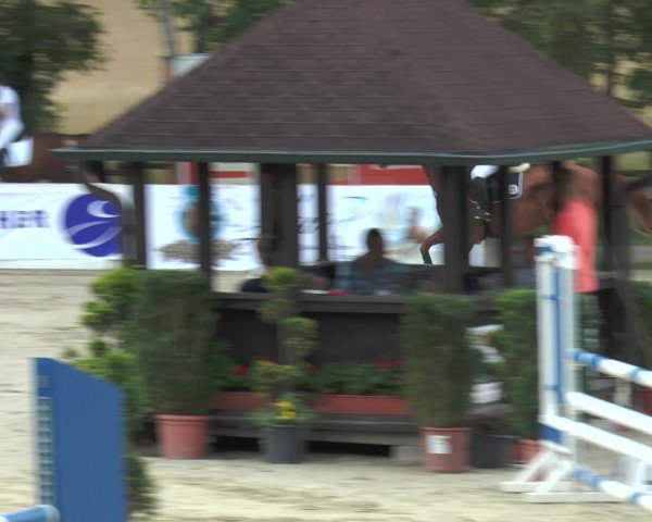 Reitturnier Münster-Roxel 2016