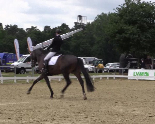 Reitturnier Coesfeld/Lette 2017