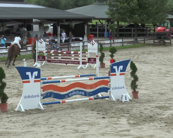 Reitturnier Münster-Roxel 2016