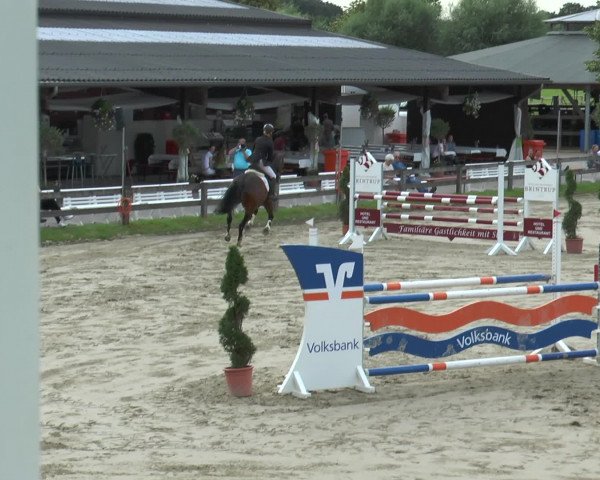 Reitturnier Münster-Roxel 2016