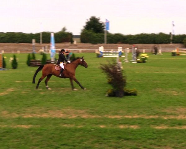 Reitturnier Baschütz bei Bautzen 2017