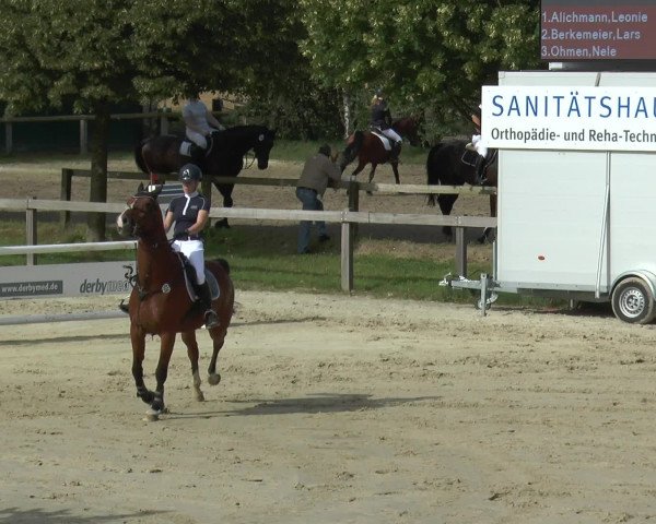 Reitturnier Münster-Roxel 2016